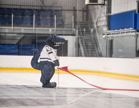 Hockey D1 : Saint-Hyacinthe contre Alma - Affiche