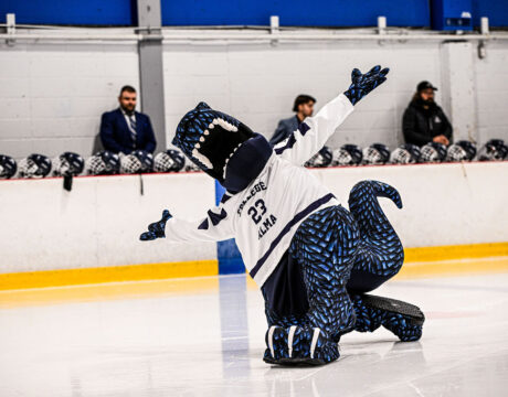 Hockey D2 : Thetford contre Alma (match d&rsquo;ouverture) - Affiche